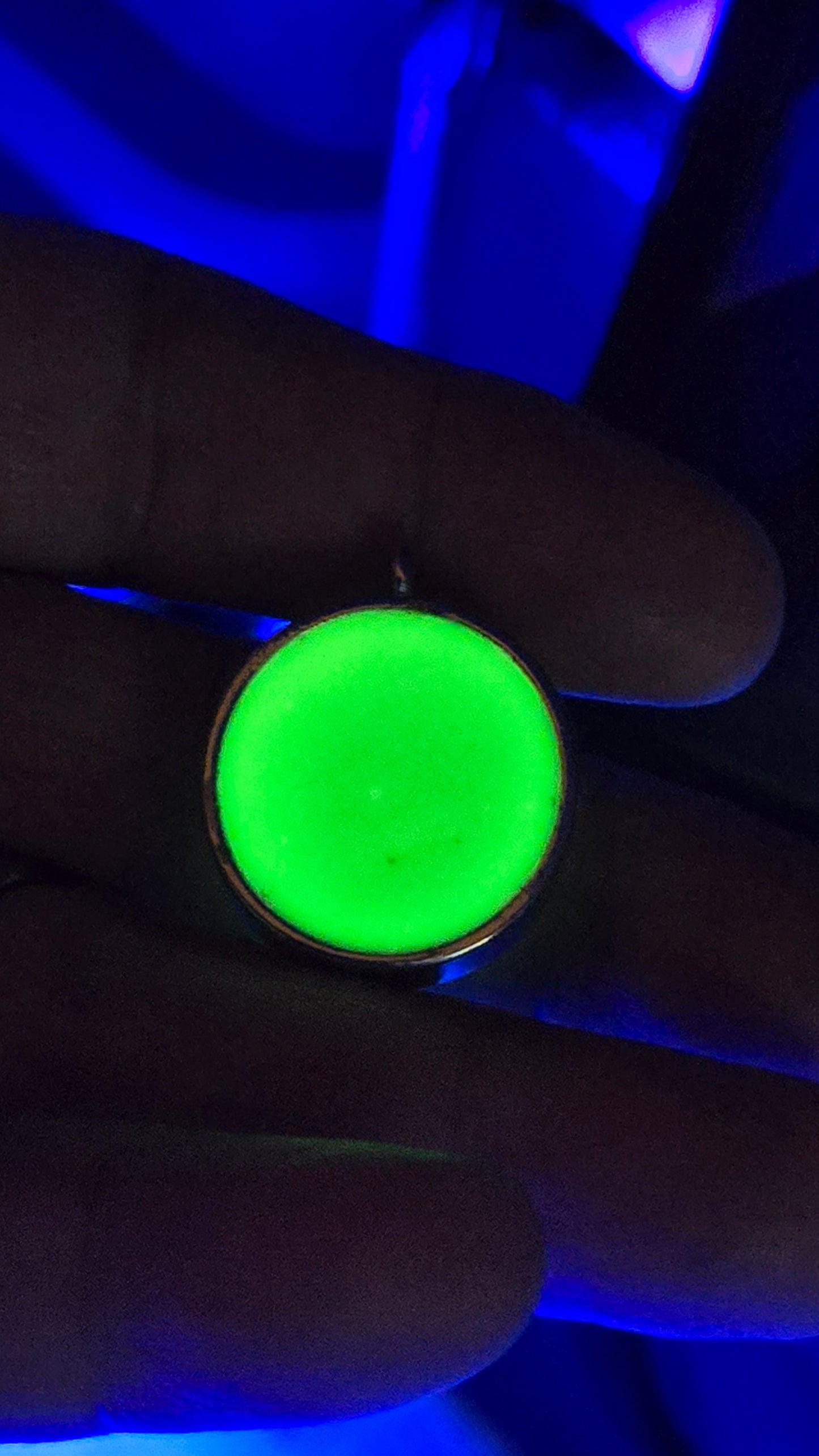 Preserved Alien head Pendant
