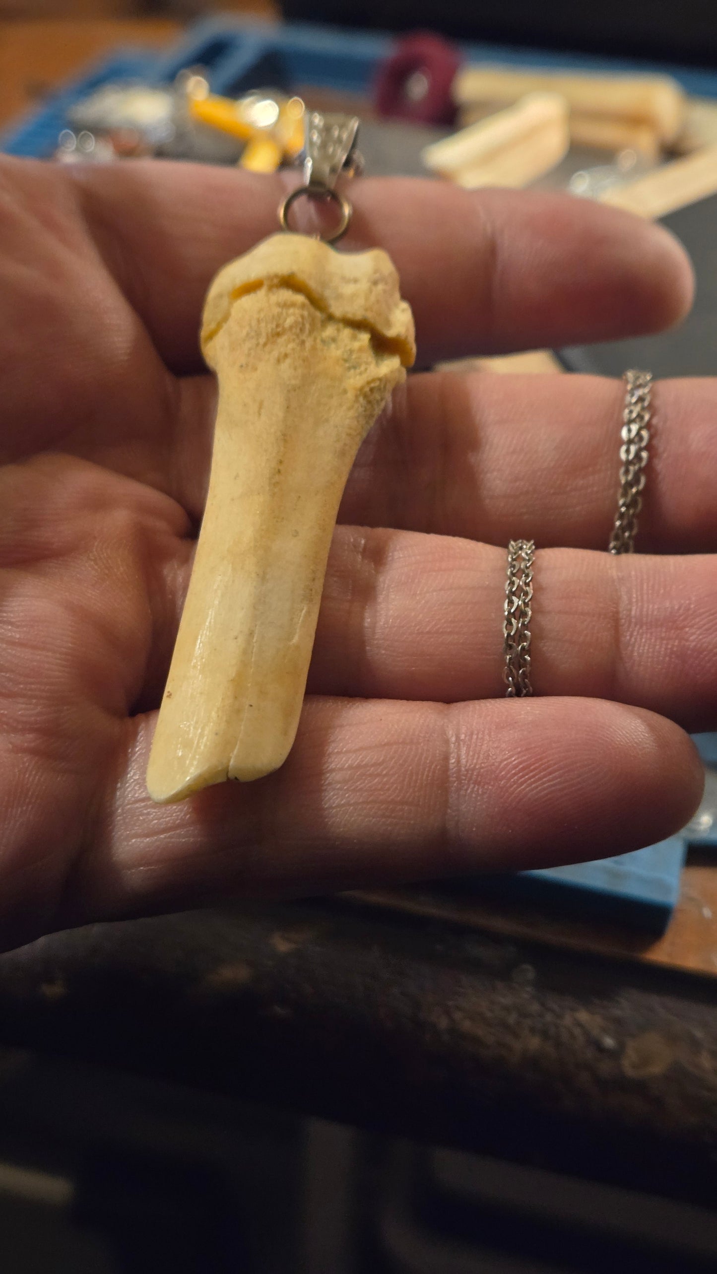 Real Broken Deer Bone Pendant – Sealed Natural Bone Oddity Necklace