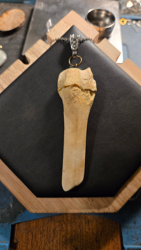 Real Broken Deer Bone Pendant – Sealed Natural Bone Oddity Necklace