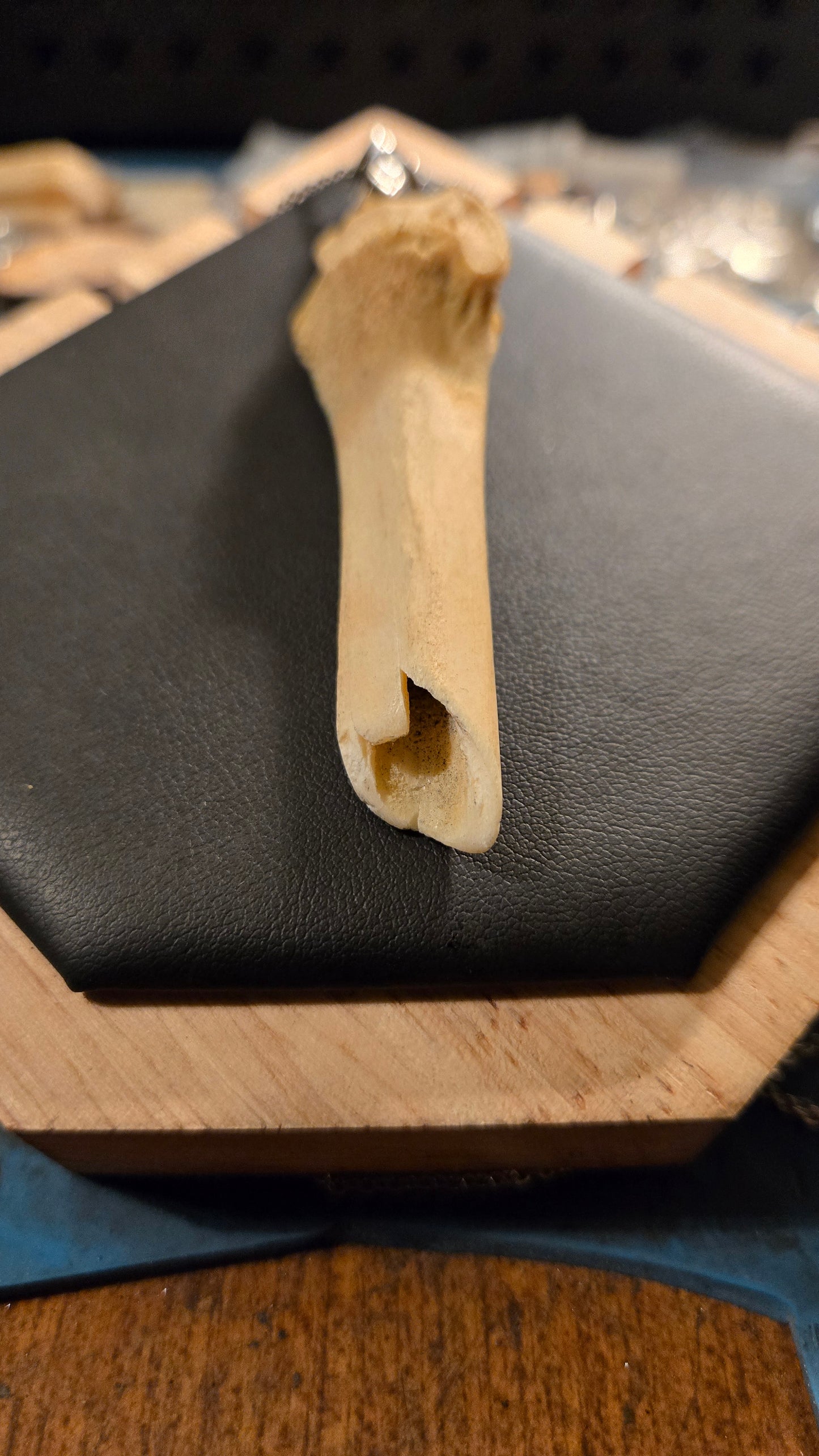 Real Broken Deer Bone Pendant – Sealed Natural Bone Oddity Necklace