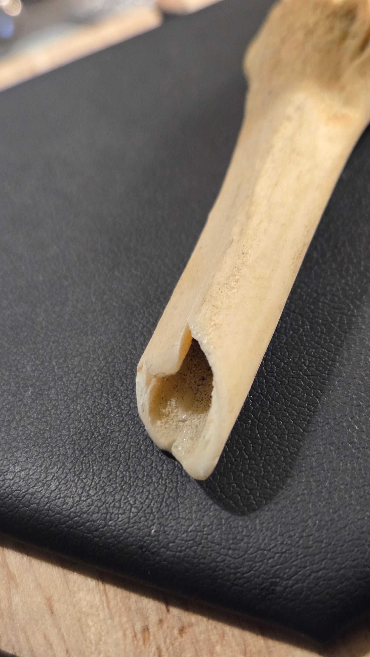 Real Broken Deer Bone Pendant – Sealed Natural Bone Oddity Necklace