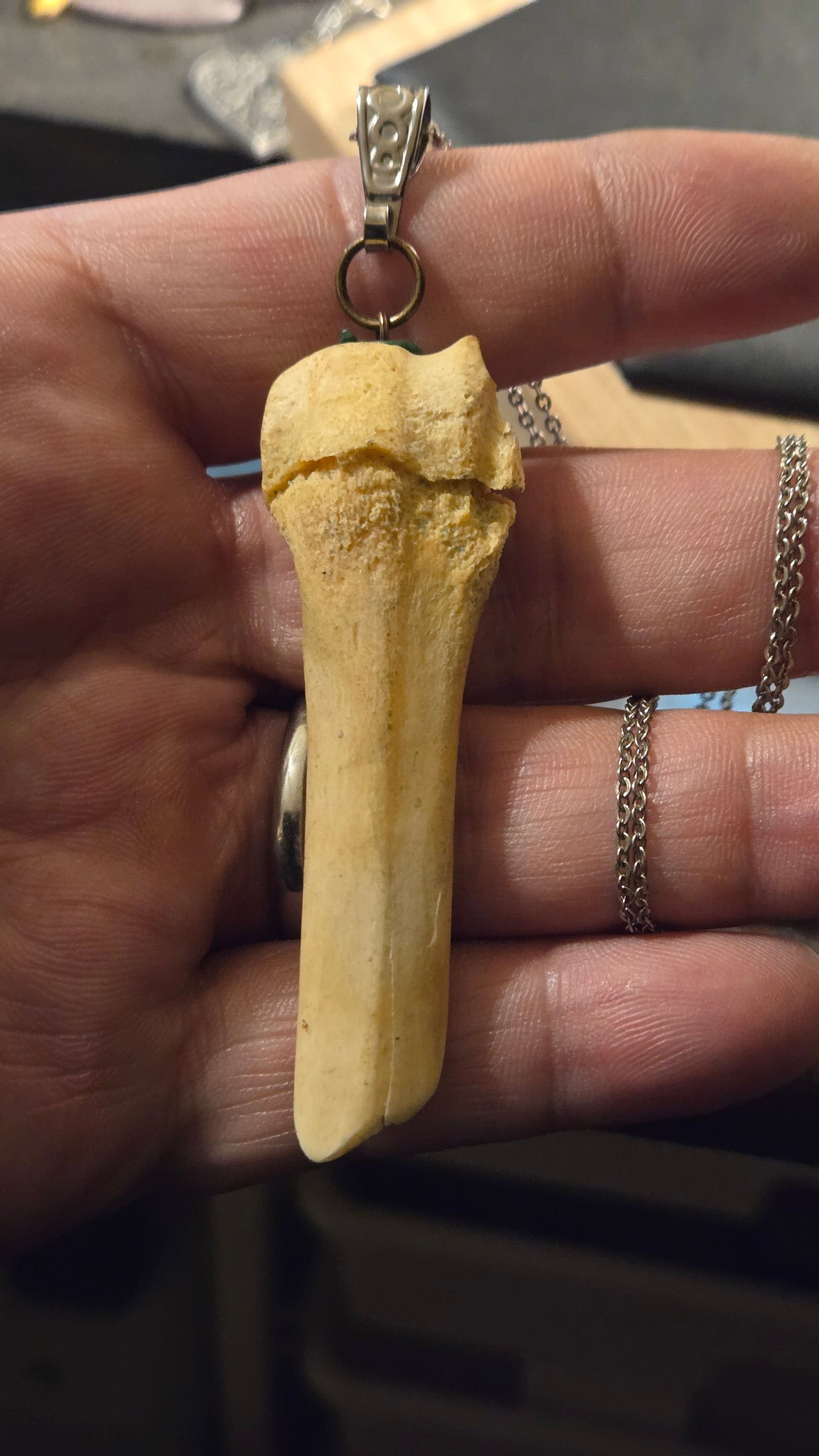 Real Broken Deer Bone Pendant – Sealed Natural Bone Oddity Necklace