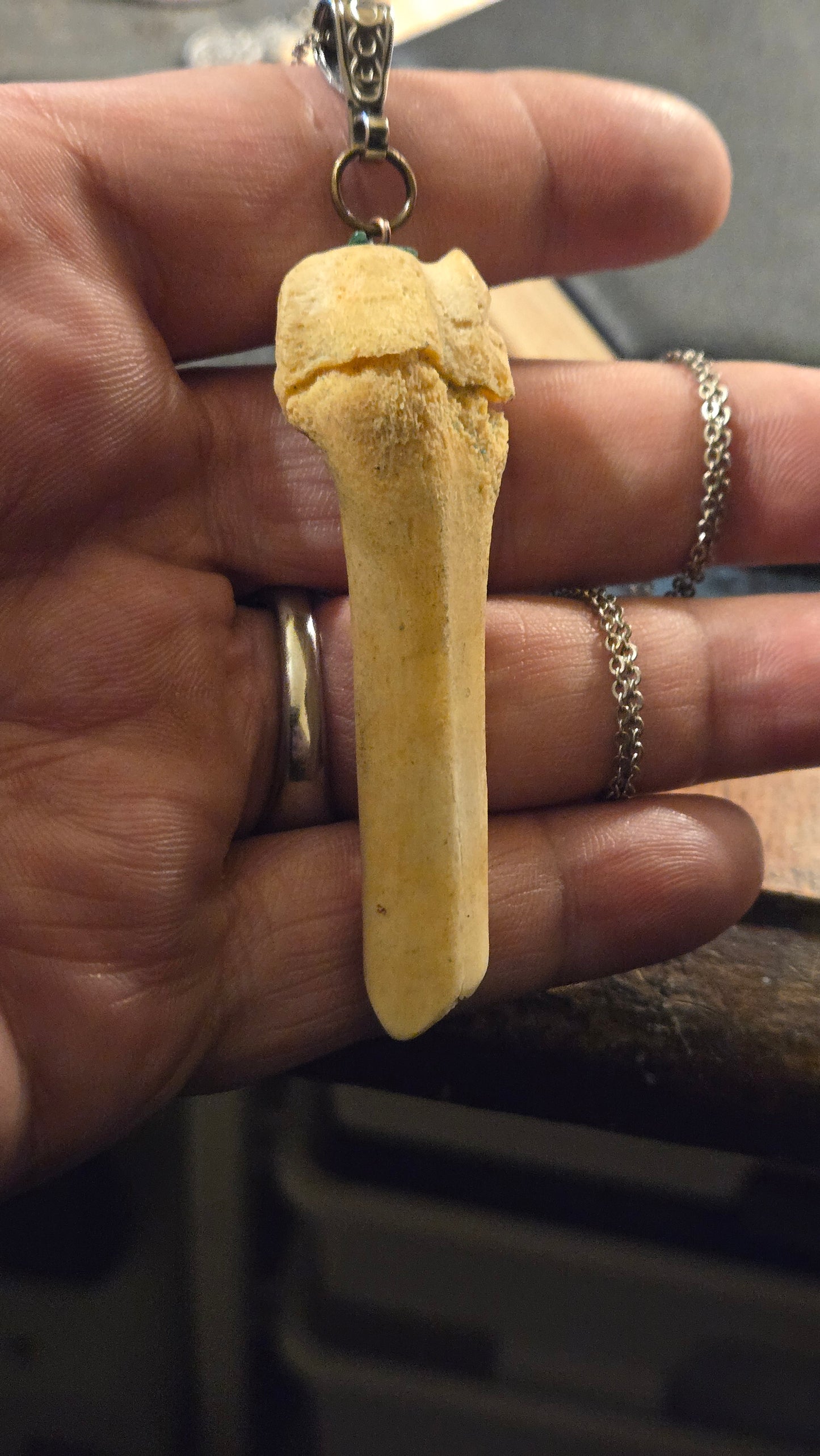 Real Broken Deer Bone Pendant – Sealed Natural Bone Oddity Necklace